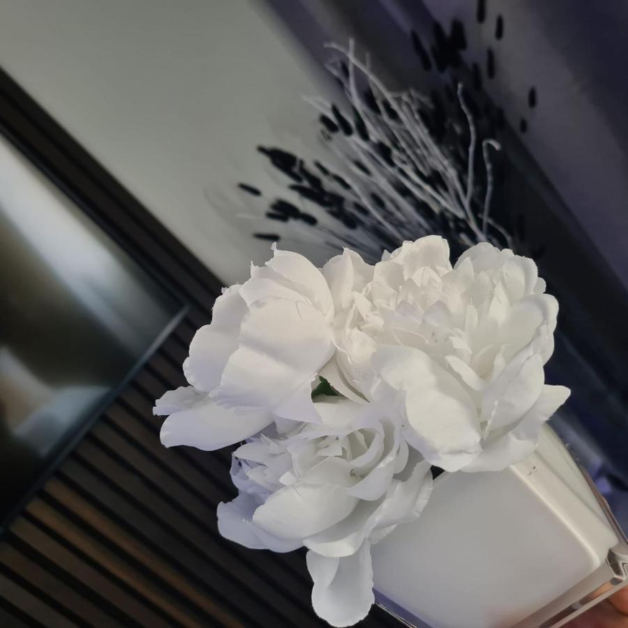 バーミンガムLuxury 9Ine Penthouse With Garden & Jacuzziアパートメント エクステリア 写真